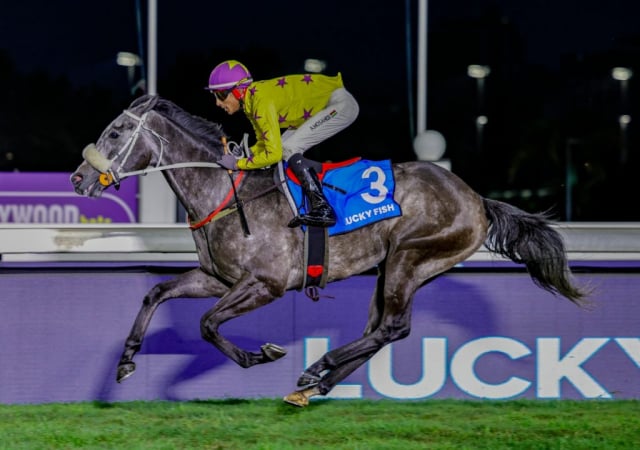 20260904 – NEXT OF KIN wins Greyville – 890 (20)