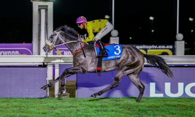 20260904 – NEXT OF KIN wins Greyville – 890 (21)