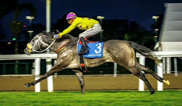 20260904 – NEXT OF KIN wins Greyville – 890 (23)