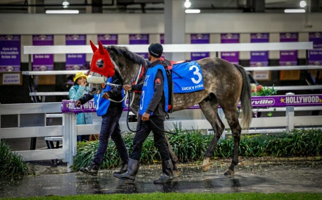 20260904 – NEXT OF KIN wins Greyville – 890 (3)