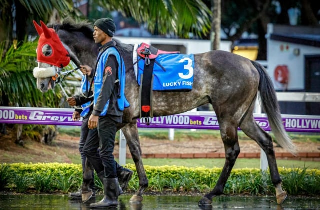 20260904 – NEXT OF KIN wins Greyville – 890 (4)
