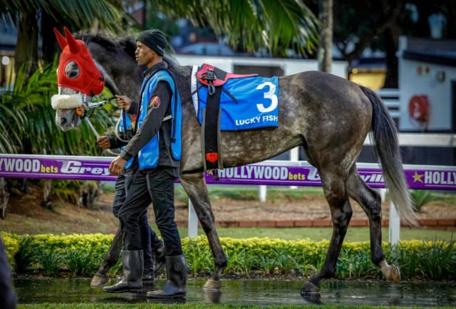 20260904 – NEXT OF KIN wins Greyville – 890 (5)