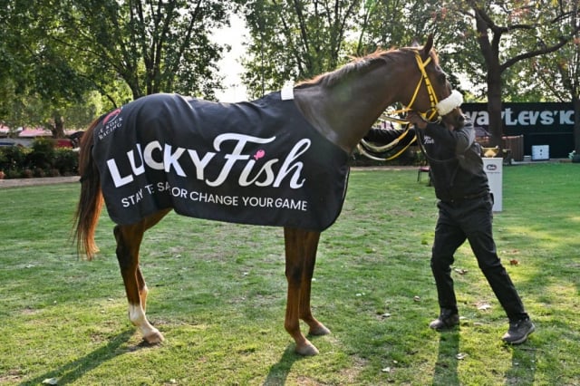 20260905 – I’M A FIREBALL wins Turffontein – 891 (12)