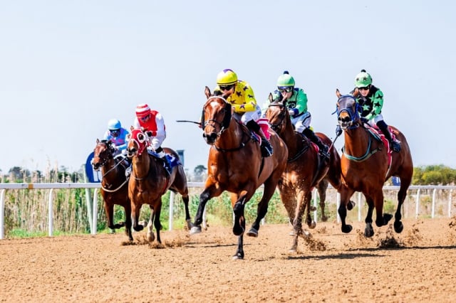 20260909 – MADRA RUA wins Fairview – 992 (1)