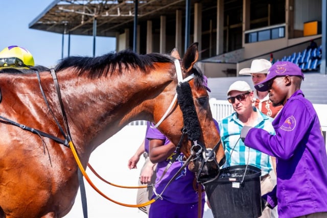 20260909 – MADRA RUA wins Fairview – 992 (11)