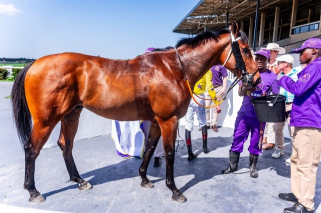 20260909 – MADRA RUA wins Fairview – 992 (12)