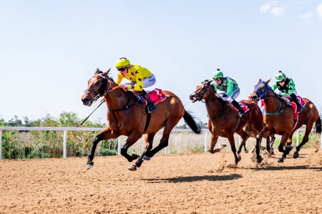 20260909 – MADRA RUA wins Fairview – 992 (2)