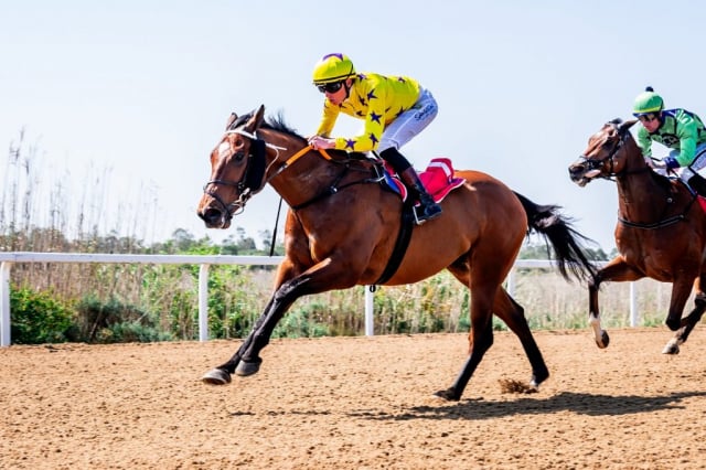 20260909 – MADRA RUA wins Fairview – 992 (3)