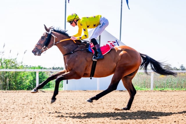 20260909 – MADRA RUA wins Fairview – 992 (5)