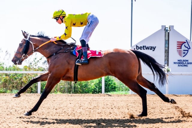 20260909 – MADRA RUA wins Fairview – 992 (6)
