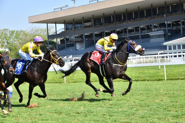 20260912 – GIMME A FIREBALL wins Turffontein – 894 (1)