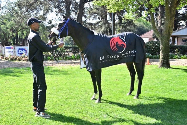 20260912 – GIMME A FIREBALL wins Turffontein – 894 (11)