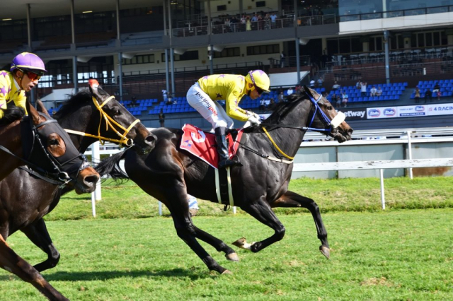 20260912 – GIMME A FIREBALL wins Turffontein – 894 (3)
