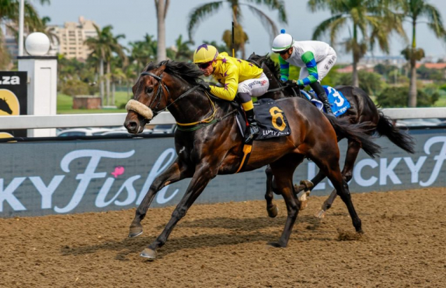 20260920 – PREUX CHAVALIER wins Greyville – 895 (1)
