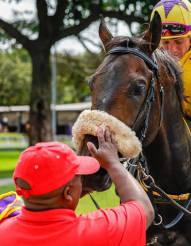 20260920 – PREUX CHAVALIER wins Greyville – 895 (11)