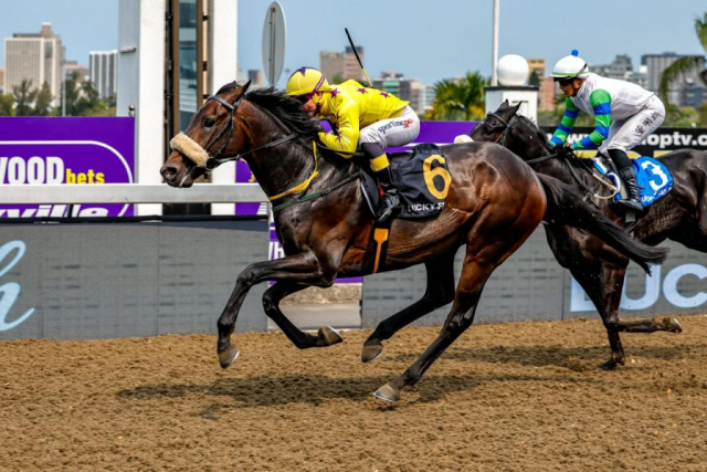 20260920 – PREUX CHAVALIER wins Greyville – 895 (2)