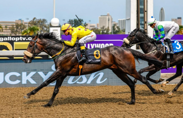 20260920 – PREUX CHAVALIER wins Greyville – 895 (3)