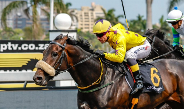 20260920 – PREUX CHAVALIER wins Greyville – 895 (4)