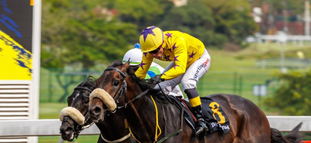 20260920 – PREUX CHAVALIER wins Greyville – 895 (5)