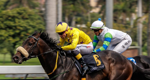20260920 – PREUX CHAVALIER wins Greyville – 895 (6)