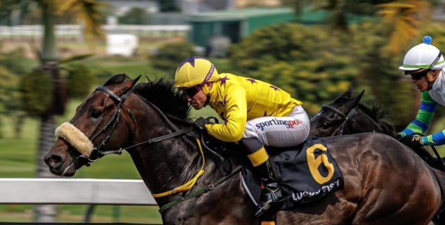 20260920 – PREUX CHAVALIER wins Greyville – 895 (7)