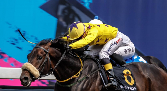 20260920 – PREUX CHAVALIER wins Greyville – 895 (8)