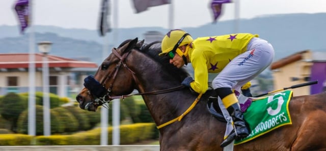 20260921 – CAPSAICIN wins Scottsville – 896 (11)