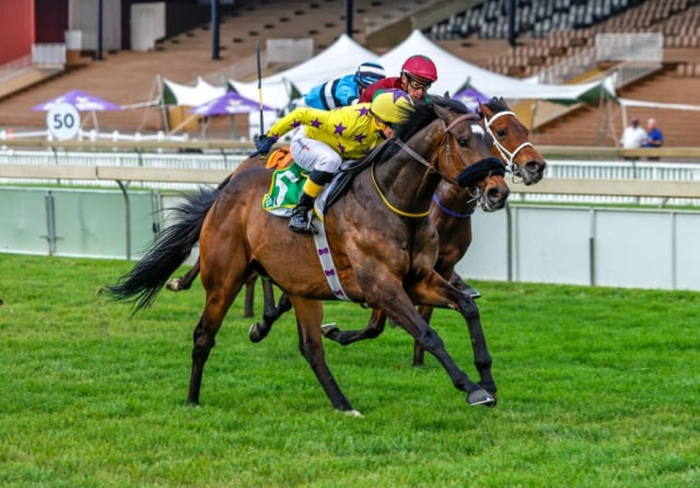 20260921 – CAPSAICIN wins Scottsville – 896 (2)