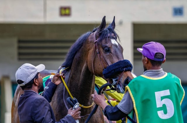 20260921 – CAPSAICIN wins Scottsville – 896 (20)