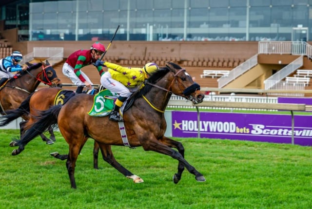20260921 – CAPSAICIN wins Scottsville – 896 (3)
