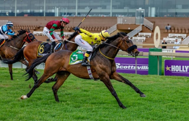 20260921 – CAPSAICIN wins Scottsville – 896 (4)