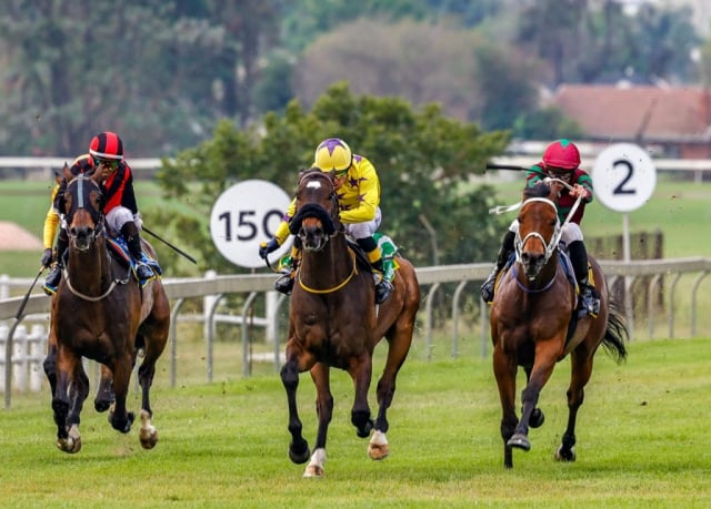 20260921 – CAPSAICIN wins Scottsville – 896 (7)