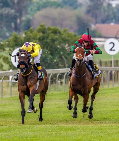 20260921 – CAPSAICIN wins Scottsville – 896 (8)