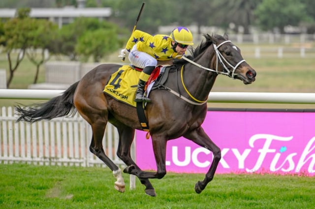 20260923 – BOOZY SUSIE wins Durbanville – 898 (5)