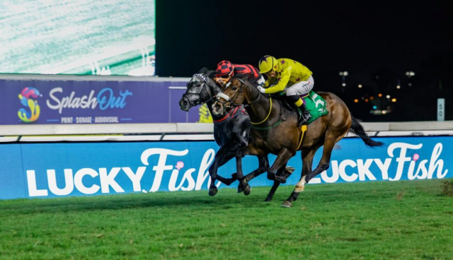 20260925 – MAPHAKA wins Greyville – 901 (2)