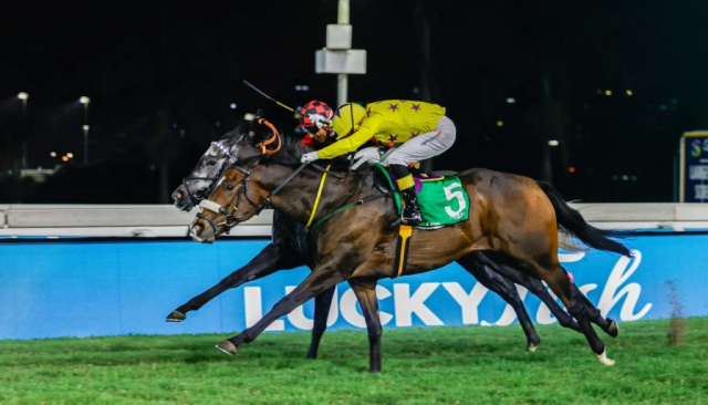 20260925 – MAPHAKA wins Greyville – 901 (4)