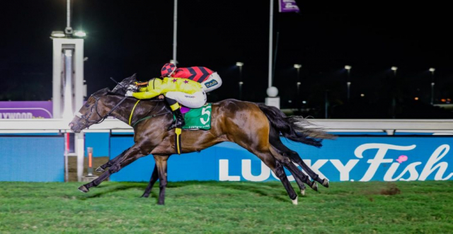 20260925 – MAPHAKA wins Greyville – 901 (6)