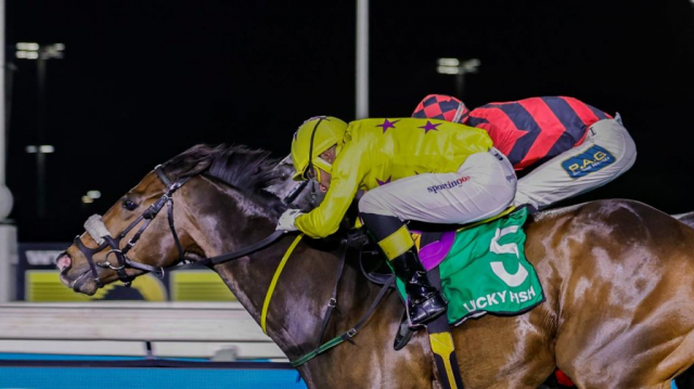 20260925 – MAPHAKA wins Greyville – 901 (7)