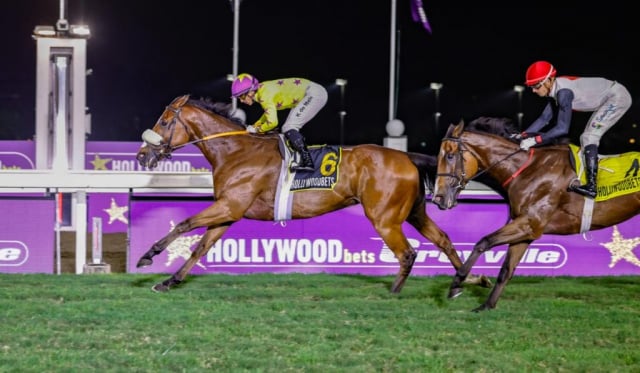 20260925 – TOBACCONIST wins Greyville – 902 (4)