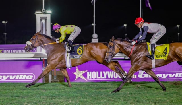 20260925 – TOBACCONIST wins Greyville – 902 (5)