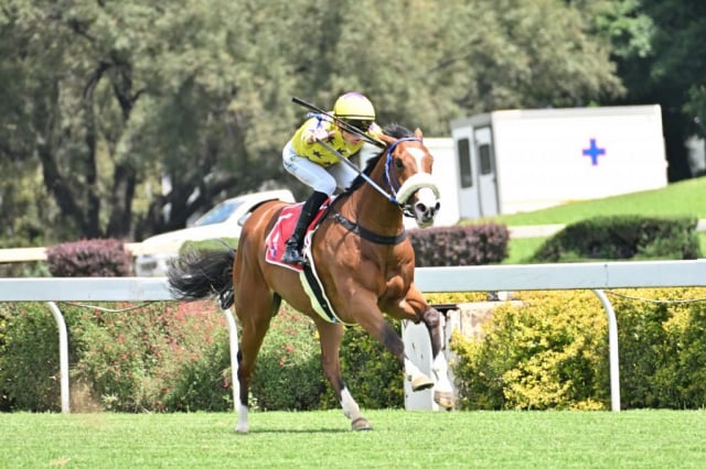 20261008 – DOG IN THE FOG wins Vaal – 904 (1)
