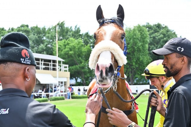 20261008 – DOG IN THE FOG wins Vaal – 904 (14)