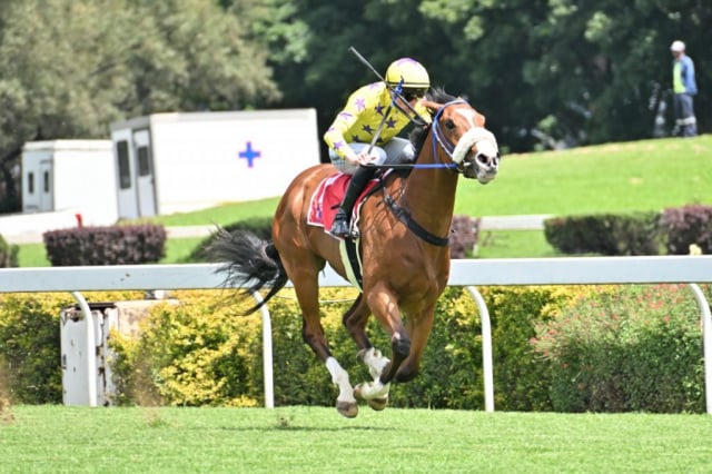 20261008 – DOG IN THE FOG wins Vaal – 904 (2)