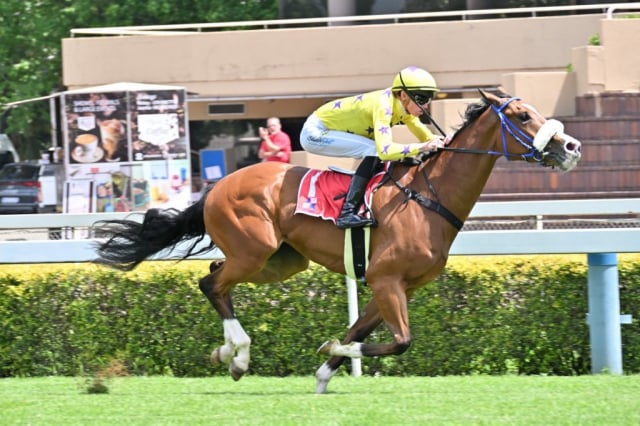 20261008 – DOG IN THE FOG wins Vaal – 904 (4)