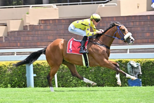 20261008 – DOG IN THE FOG wins Vaal – 904 (5)