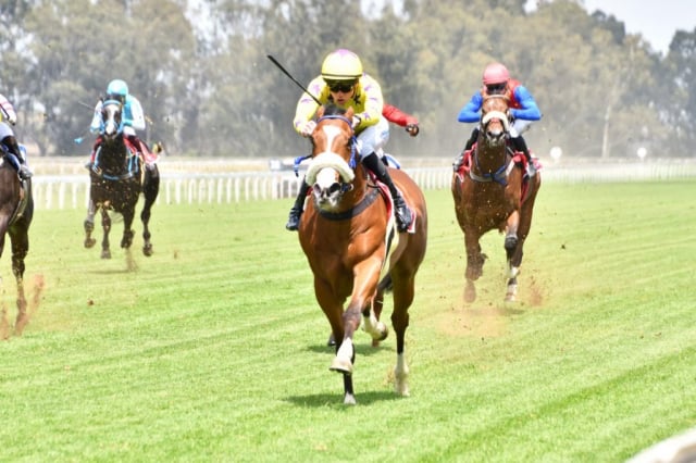 20261008 – DOG IN THE FOG wins Vaal – 904 (6)