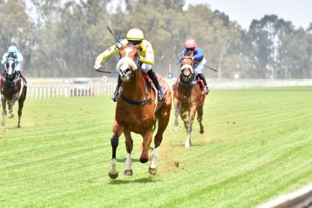 20261008 – DOG IN THE FOG wins Vaal – 904 (7)