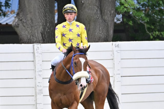 20261008 – DOG IN THE FOG wins Vaal – 904 (8)