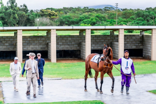 20261018 – MADRA RUA wins Fairview – 914 (1)