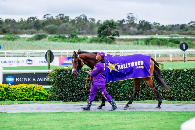 20261018 – MADRA RUA wins Fairview – 914 (10)